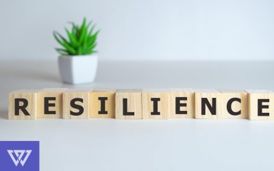 The Elastic Executive: How to Develop Change Resilience
