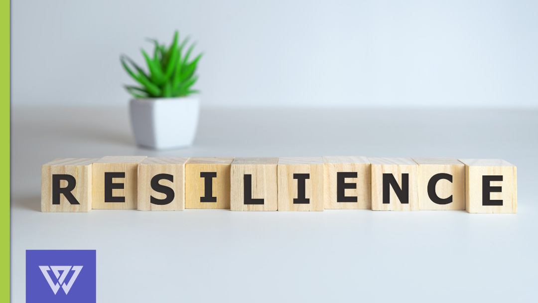 The Elastic Executive: How to Develop Change Resilience